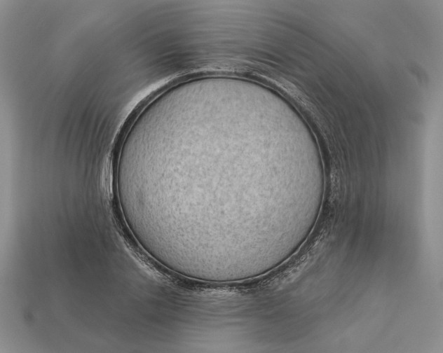 X0000112980838200909171337