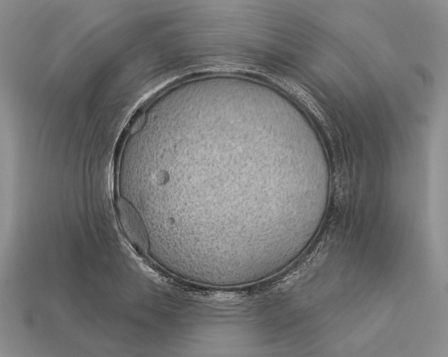 X0000112980839200909171337