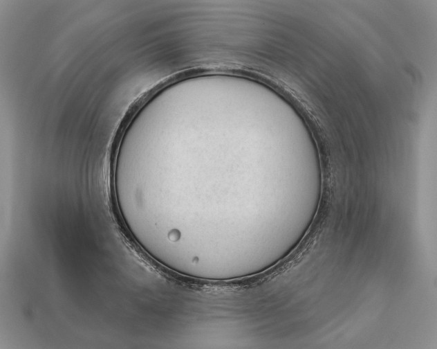 X0000112980840200909171337