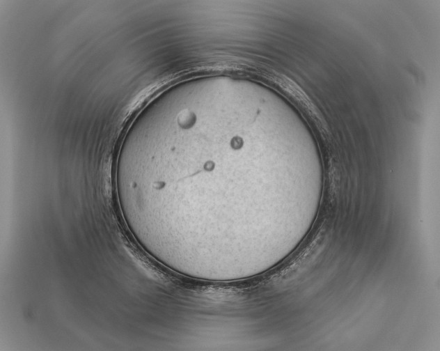 X0000112980842200909171337