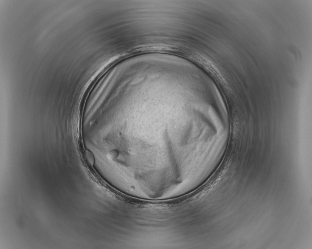 X0000112980844200909171337