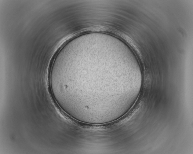 X0000112980845200909171337