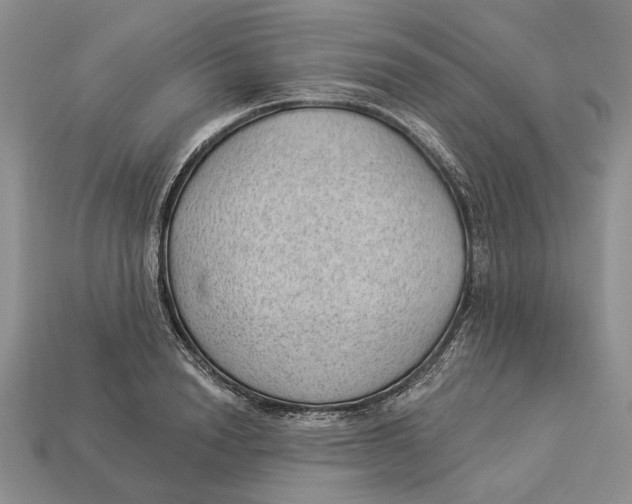 X0000112980846200909171337