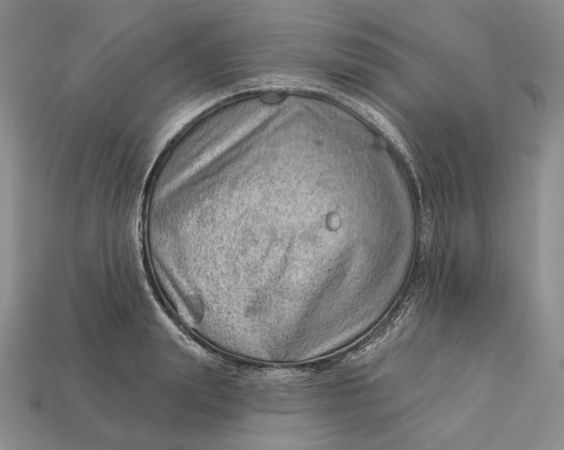 X0000112980847200909171337