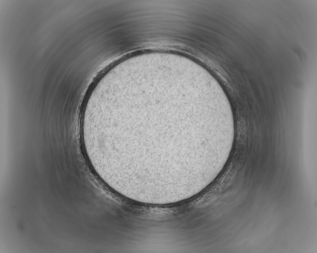 X0000112980848200909171337