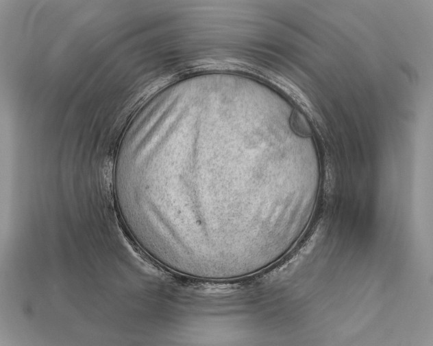 X0000112980849200909171337