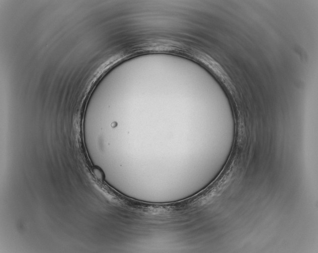 X0000112980850200909171337