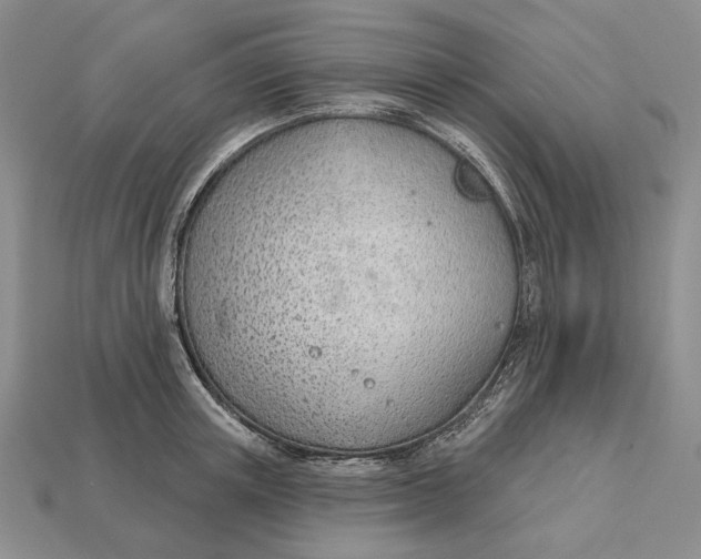 X0000112980851200909171337