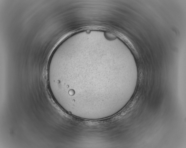 X0000112980852200909171337