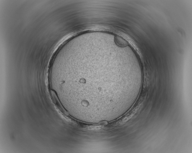 X0000112980853200909171337