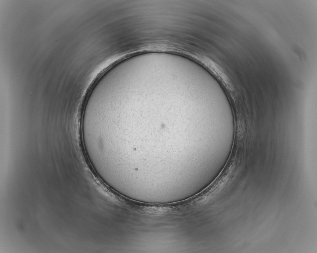 X0000112980854200909171337