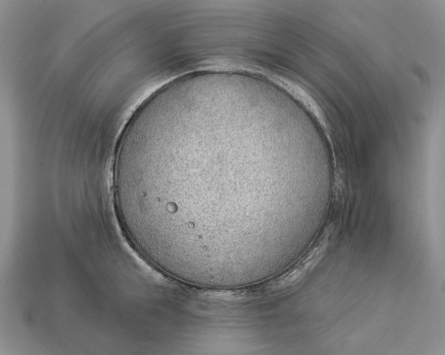 X0000112980855200909171337