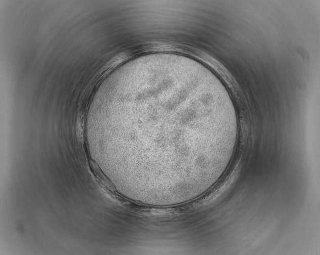 X0000112980857200909171337