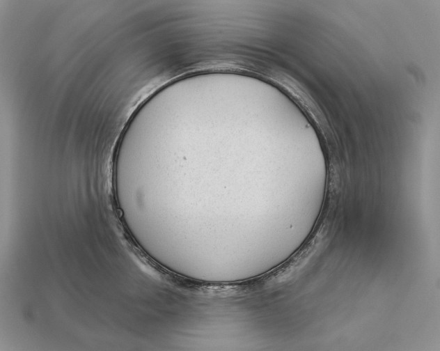 X0000112980858200909171337