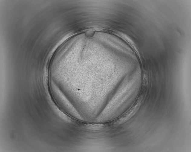 X0000112980859200909171337