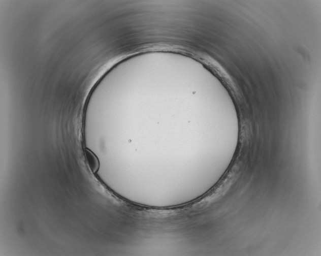 X0000112980860200909171337