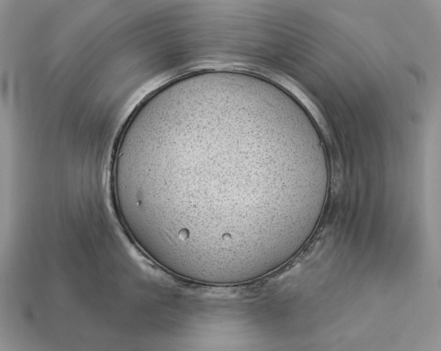 X0000112980861200909171337