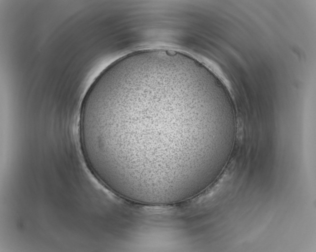 X0000112980863200909171337