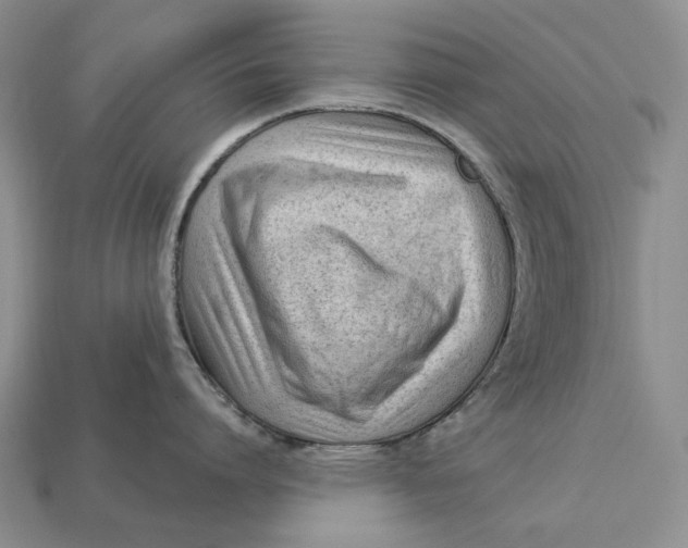 X0000112980864200909171337