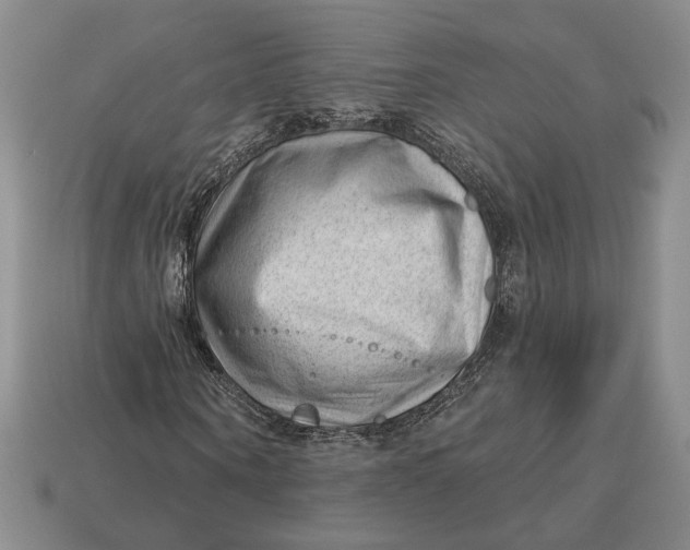 X0000112980866200909171336