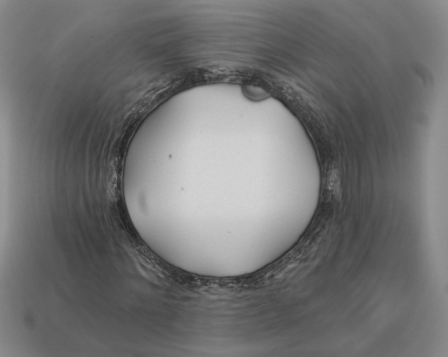 X0000112980868200909171336