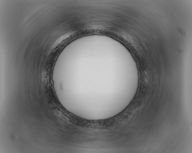 X0000112980872200909171336