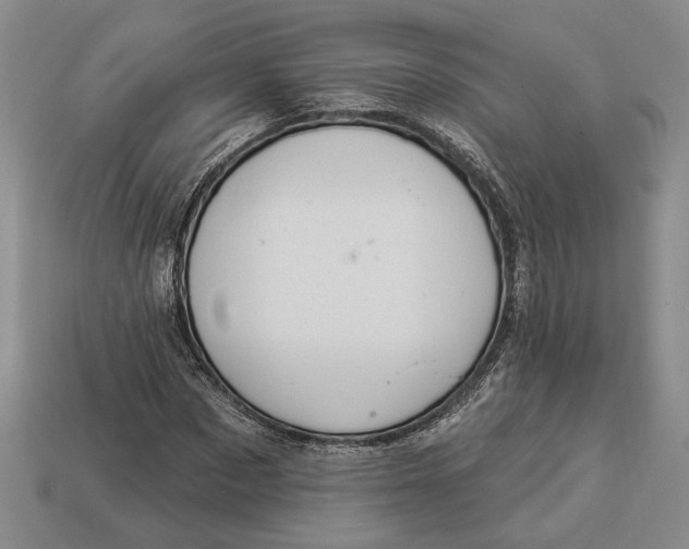 X0000112980873200909171336