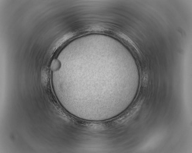 X0000112980874200909171336