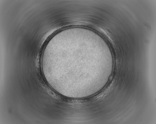 X0000112980875200909171336