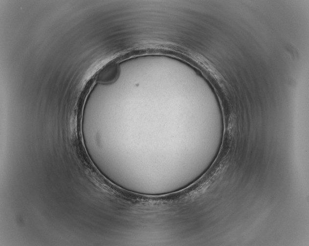 X0000112980877200909171336