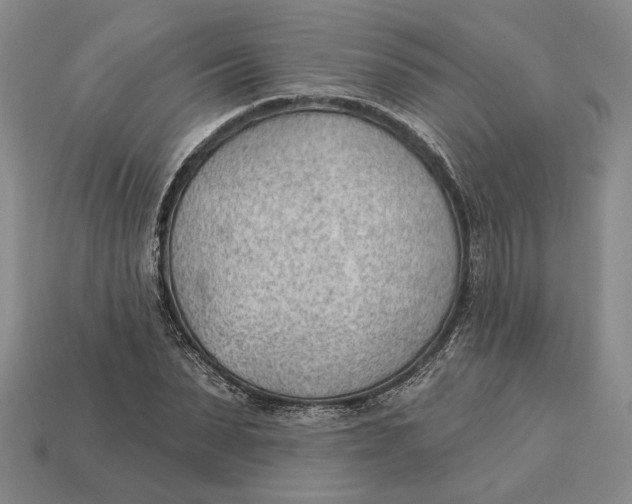 X0000112980879200909171336