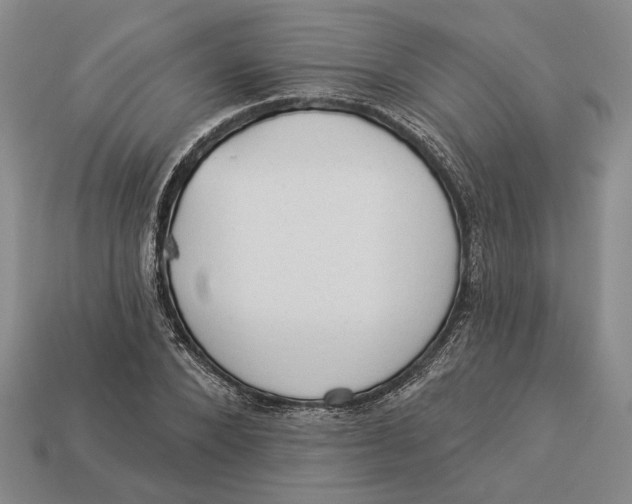 X0000112980880200909171336