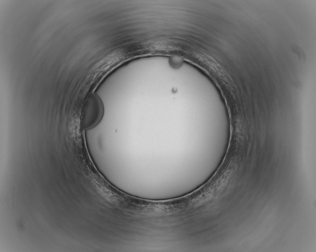 X0000112980881200909171336