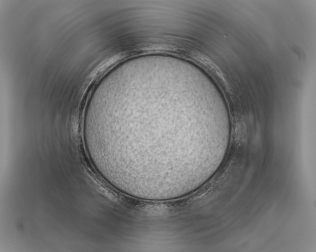 X0000112980882200909171336