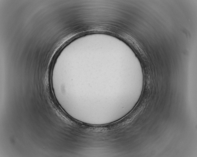 X0000112980884200909171336