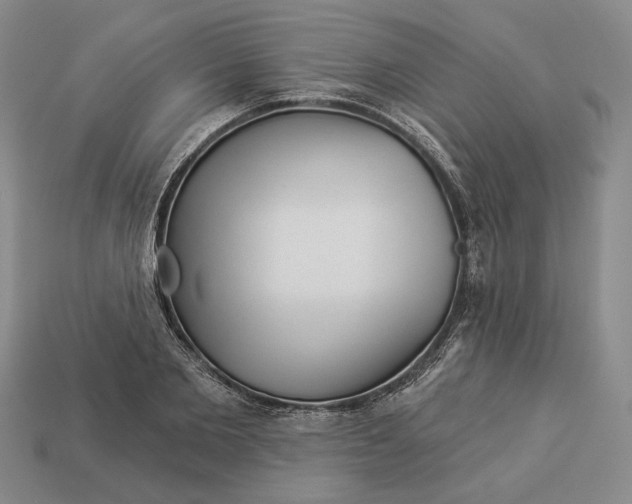 X0000112980885200909171336