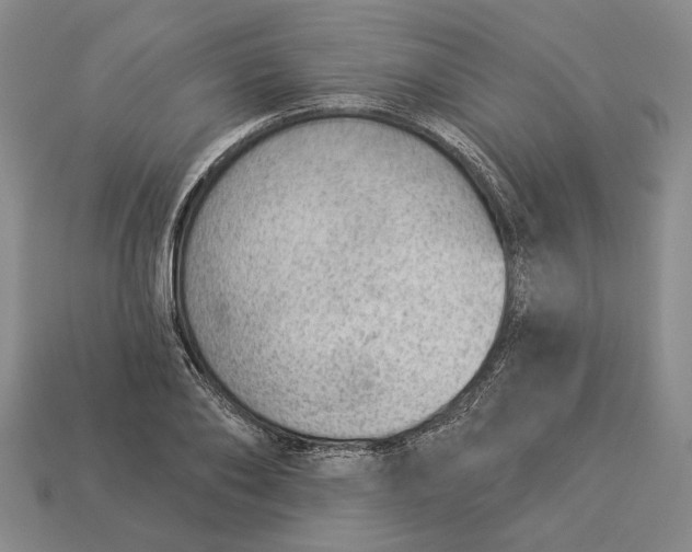 X0000112980886200909171336