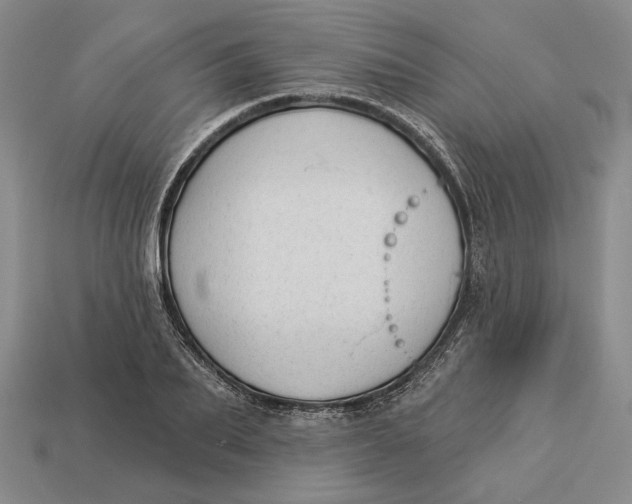 X0000112980887200909171336