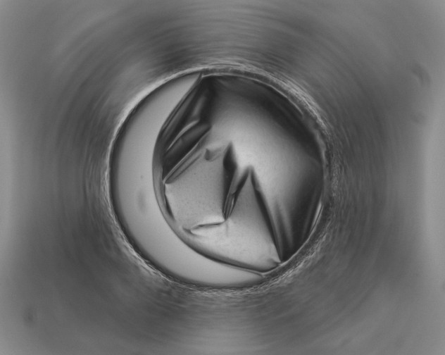 X0000112980888200909171336