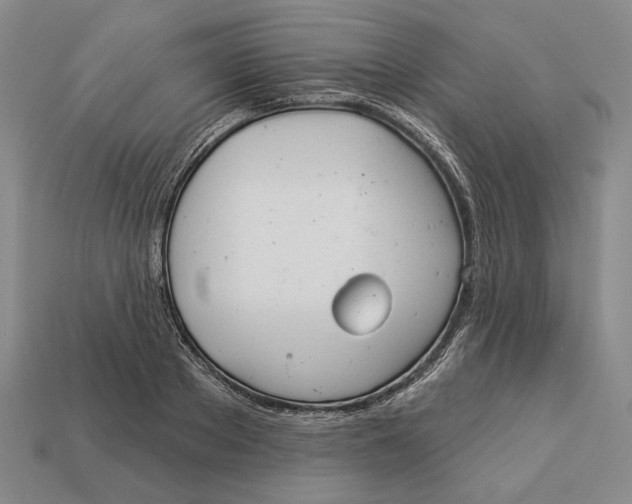 X0000112980889200909171336