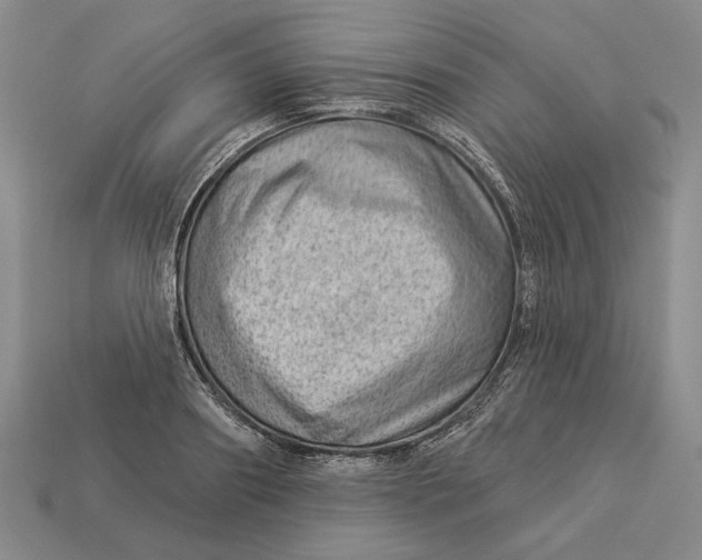 X0000112980890200909171336