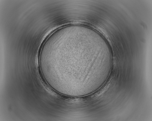 X0000112980891200909171336