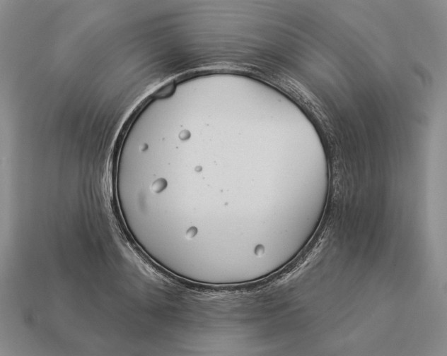 X0000112980892200909171336