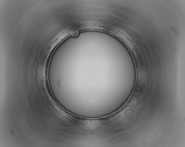 X0000112980893200909171336