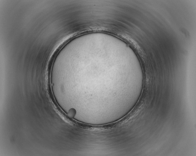 X0000112980894200909171336