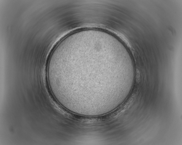 X0000112980895200909171336