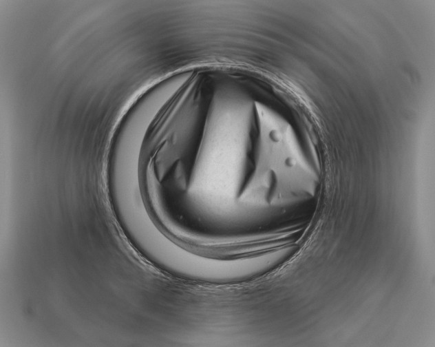 X0000112980896200909171336