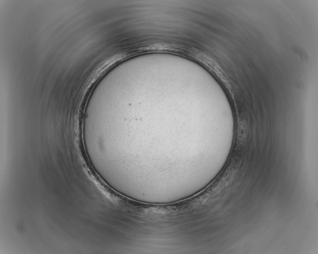 X0000112980898200909171336