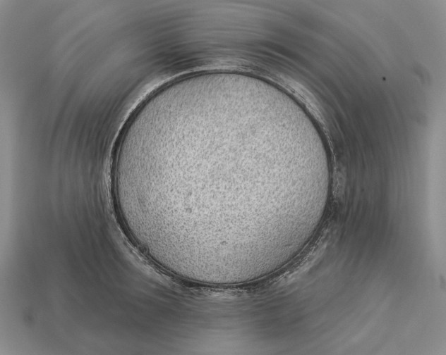 X0000112980899200909171336