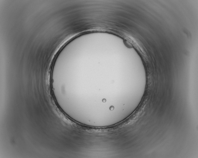 X0000112980900200909171336